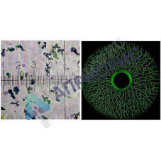 helling super magna ly 2500 концентрат